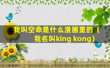 我叫空命是什么漫画里的（我名叫king kong）